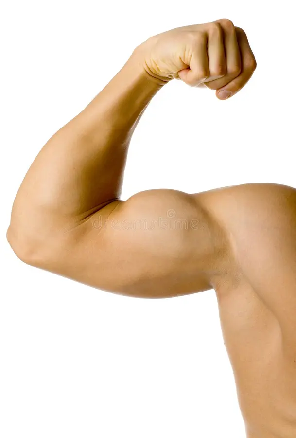 lipofilling biceps